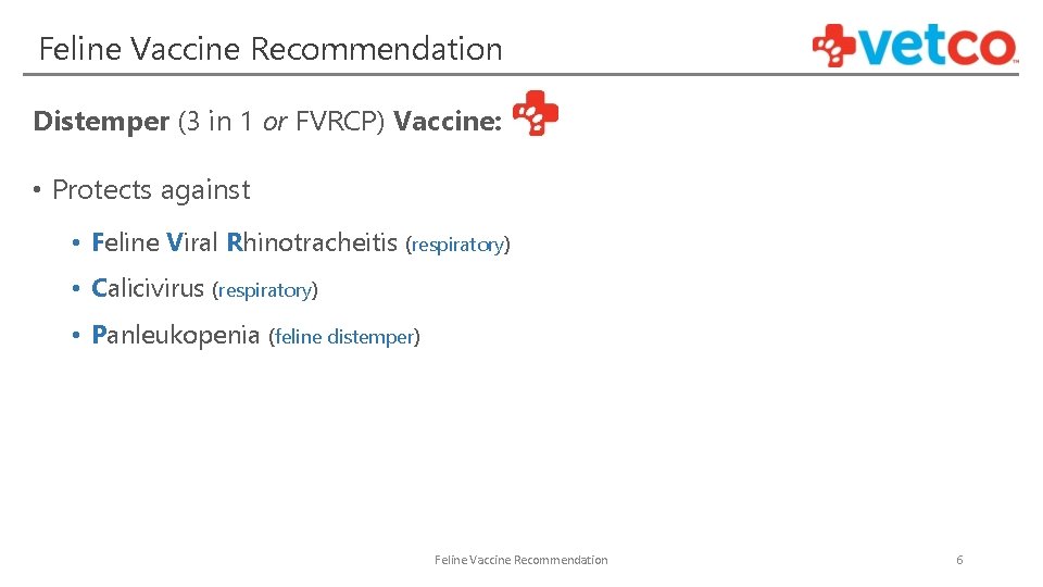 Preventable Diseases Feline Virus Information An overview of