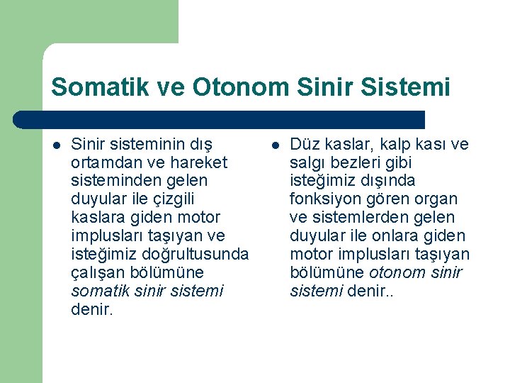 Somatik ve Otonom Sinir Sistemi l Sinir sisteminin dış ortamdan ve hareket sisteminden gelen