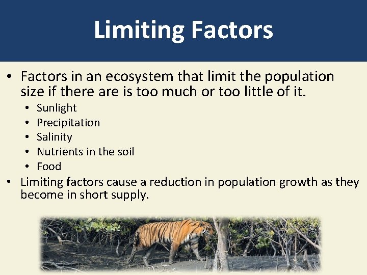 Limiting Factors • Factors in an ecosystem that limit the population size if there