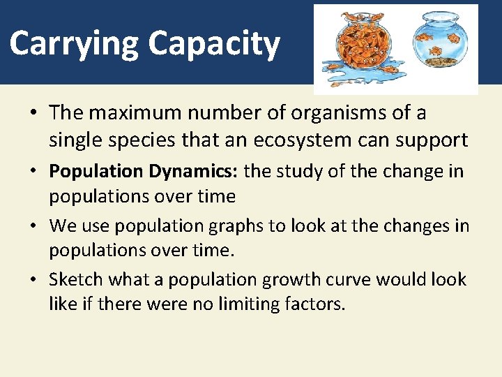 Carrying Capacity • The maximum number of organisms of a single species that an