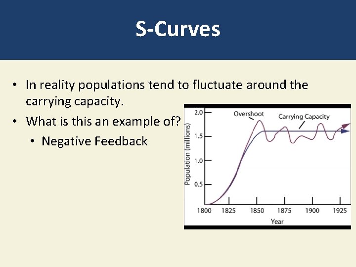 S-Curves • In reality populations tend to fluctuate around the carrying capacity. • What
