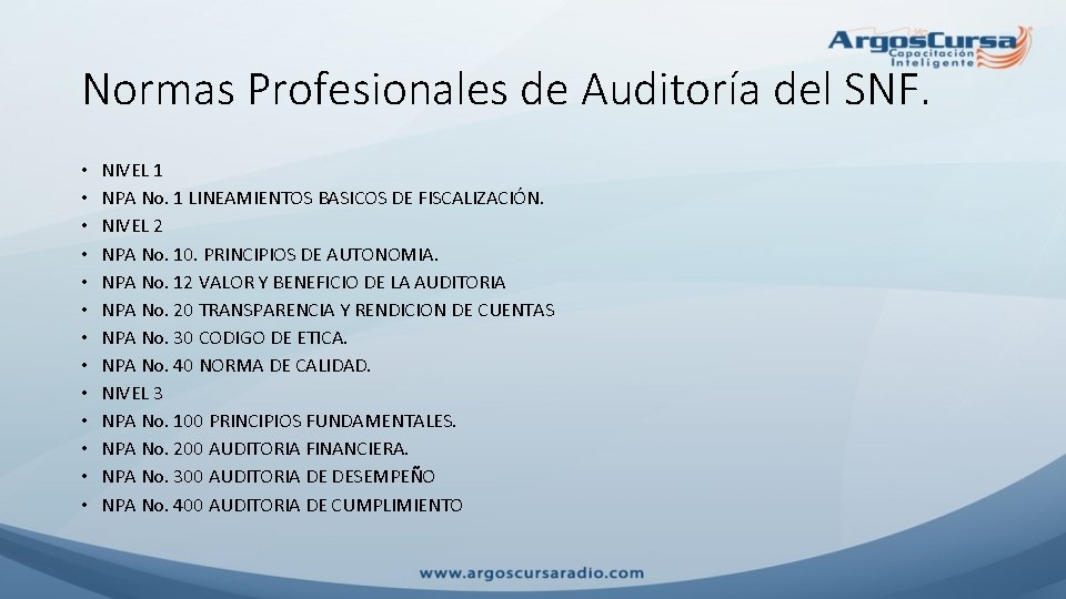 Normas Profesionales de Auditoría del SNF. • • • • NIVEL 1 NPA No.