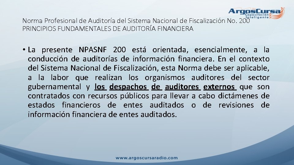 Norma Profesional de Auditoría del Sistema Nacional de Fiscalización No. 200 PRINCIPIOS FUNDAMENTALES DE