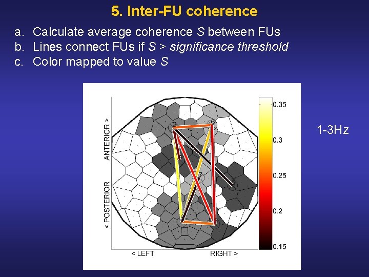 5. Inter-FU coherence a. Calculate average coherence S between FUs b. Lines connect FUs 5. Inter-FU coherence a. Calculate average coherence S between FUs b. Lines connect FUs