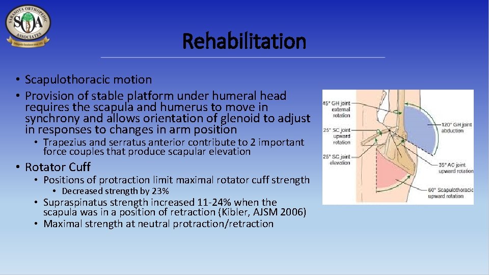 Rehabilitation • Scapulothoracic motion • Provision of stable platform under humeral head requires the