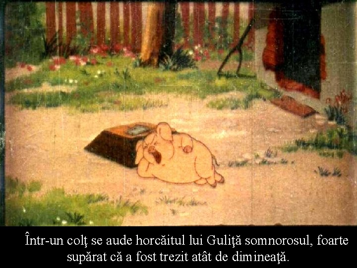 Într-un colţ se aude horcăitul lui Guliţă somnorosul, foarte supărat că a fost trezit