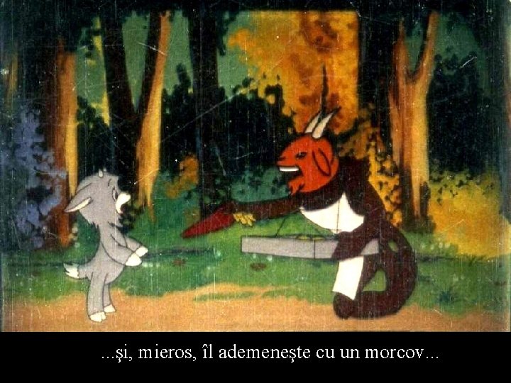 . . . şi, mieros, îl ademeneşte cu un morcov. . . 