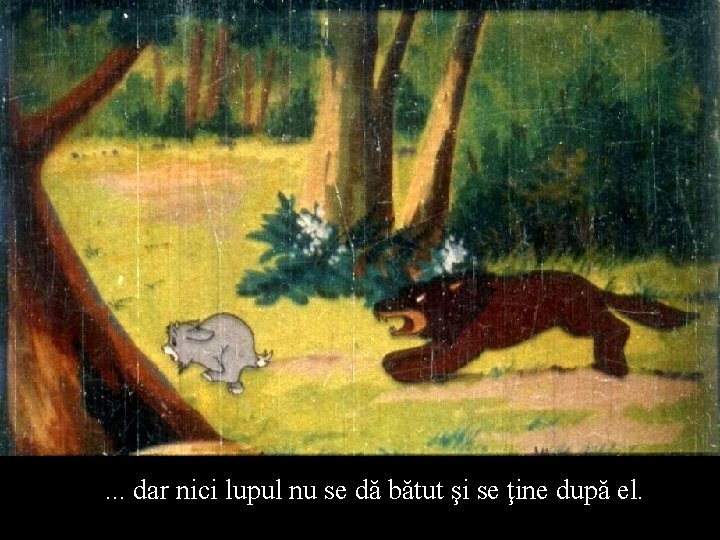 . . . dar nici lupul nu se dă bătut şi se ţine după