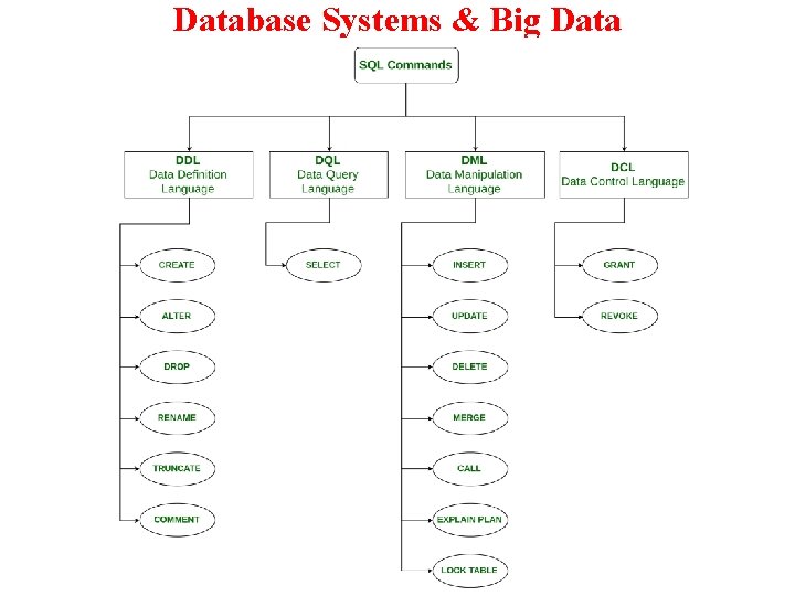 Database Systems & Big Data 