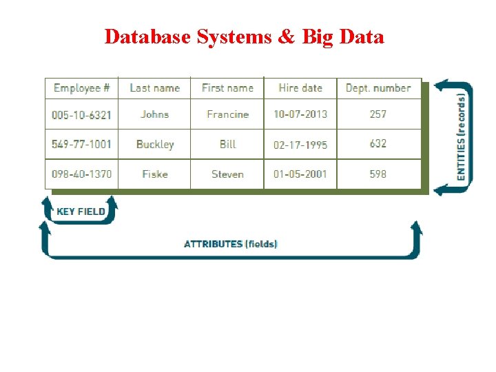 Database Systems & Big Data 