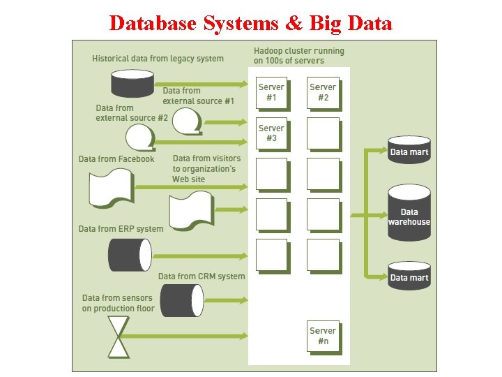 Database Systems & Big Data 