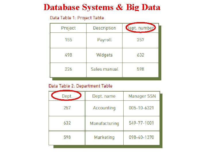 Database Systems & Big Data 