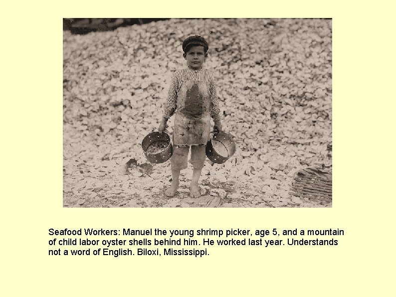 Seafood Workers: Manuel the young shrimp picker, age 5, and a mountain of child