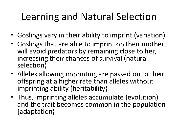 Learning and Natural Selection • Goslings vary in their ability to imprint (variation) •