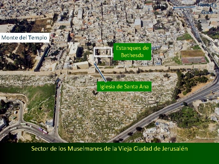 Herod’s Gate Monte del Templo Estanques de Bethesda Iglesia de Santa Ana Sector de
