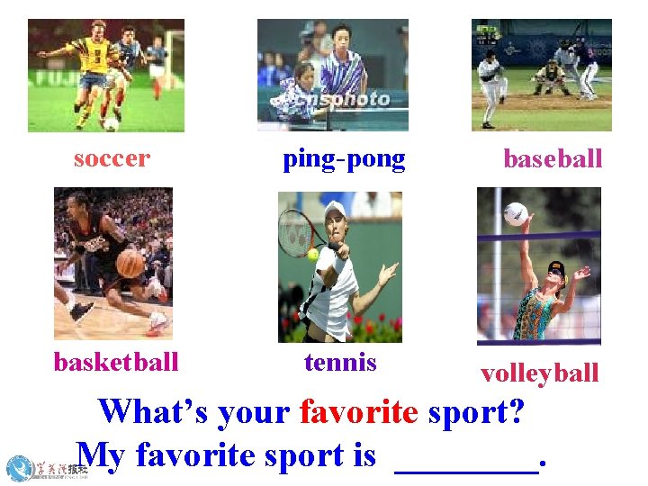 soccer ping-pong basketball tennis baseball volleyball What’s your favorite sport? My favorite sport is