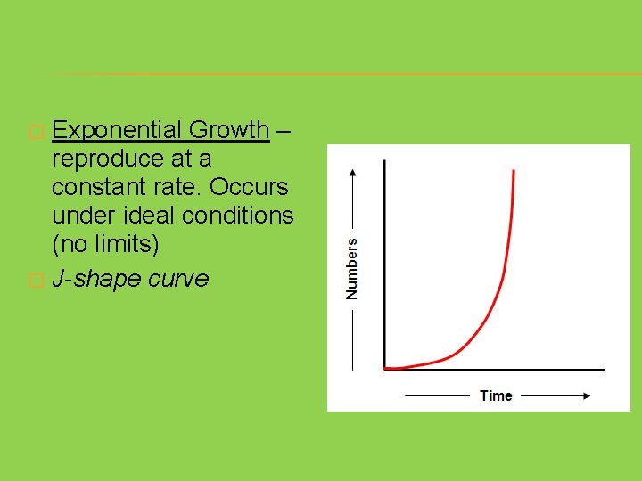 Exponential Growth – reproduce at a constant rate. Occurs under ideal conditions (no limits)