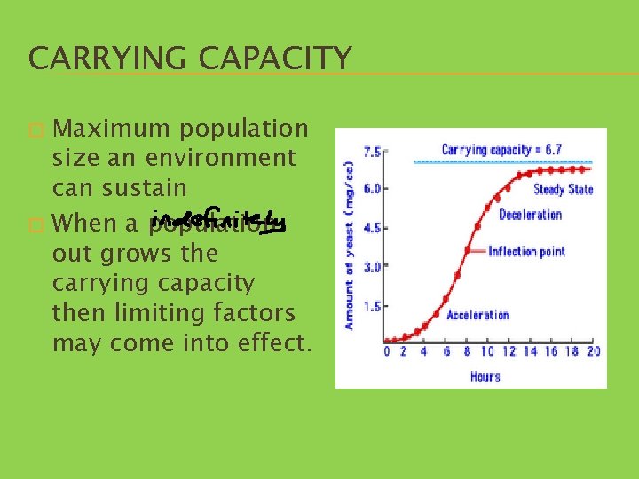 CARRYING CAPACITY Maximum population size an environment can sustain � When a population out