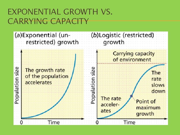 EXPONENTIAL GROWTH VS. CARRYING CAPACITY 