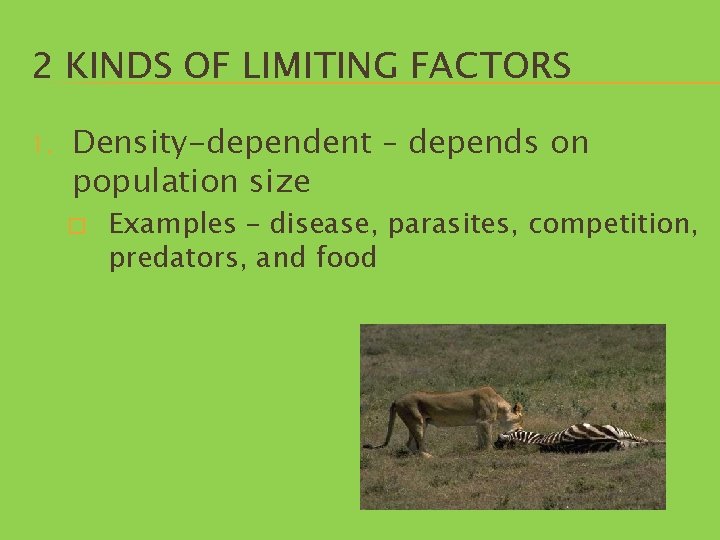 2 KINDS OF LIMITING FACTORS 1. Density-dependent – depends on population size � Examples