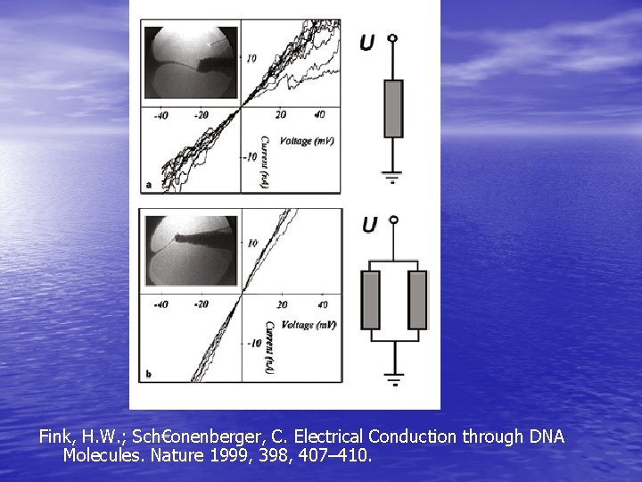 Fink, H. W. ; Sch€onenberger, C. Electrical Conduction through DNA Molecules. Nature 1999, 398,