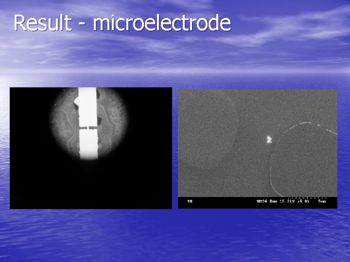 Result - microelectrode 