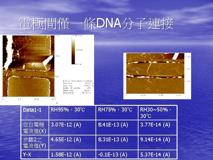 電極間僅一條DNA分子連接 RH 75%，30℃ RH 30~50%， 30℃ 空白電極 3. 07 E-12 (A) 電流值(X) 8. 41