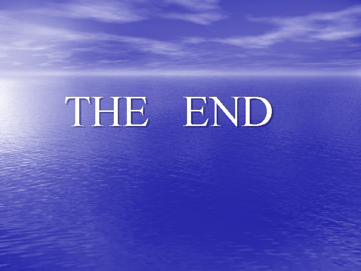 THE END 