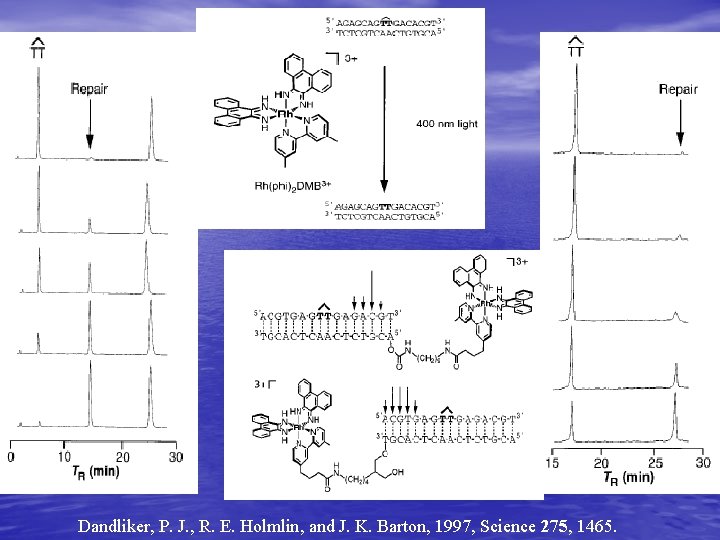 Dandliker, P. J. , R. E. Holmlin, and J. K. Barton, 1997, Science 275,