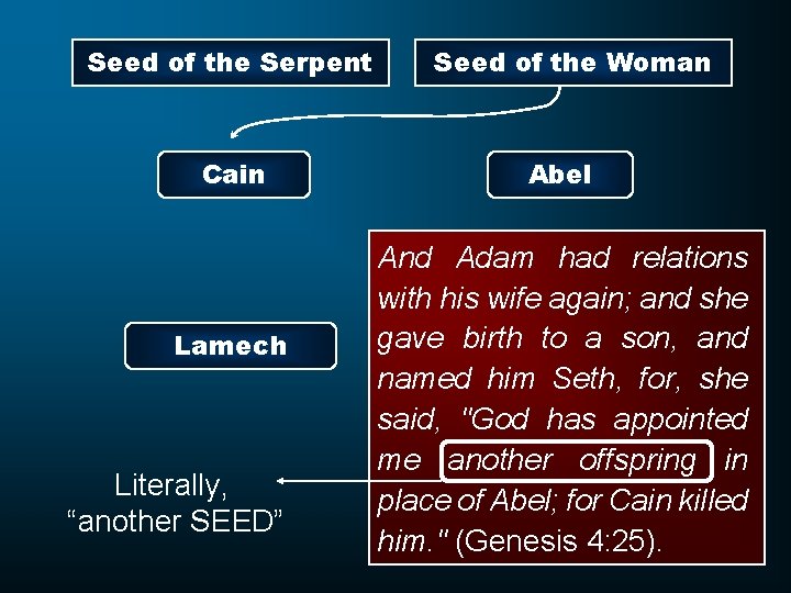 Seed of the Serpent Cain Lamech Literally, “another SEED” Seed of the Woman Abel