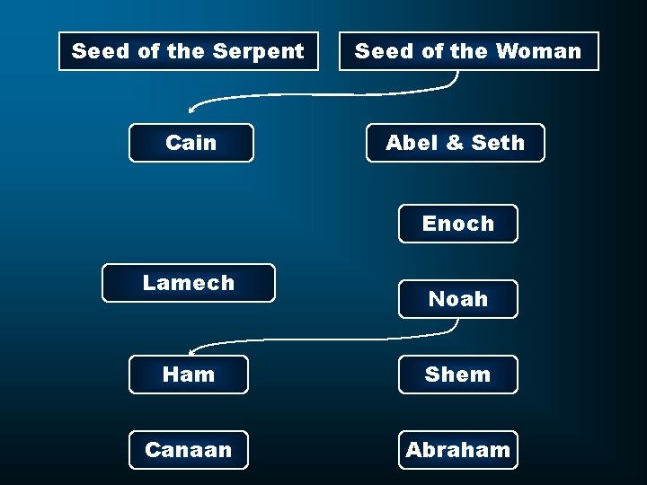 Seed of the Serpent Cain Seed of the Woman Abel & Seth Enoch Lamech