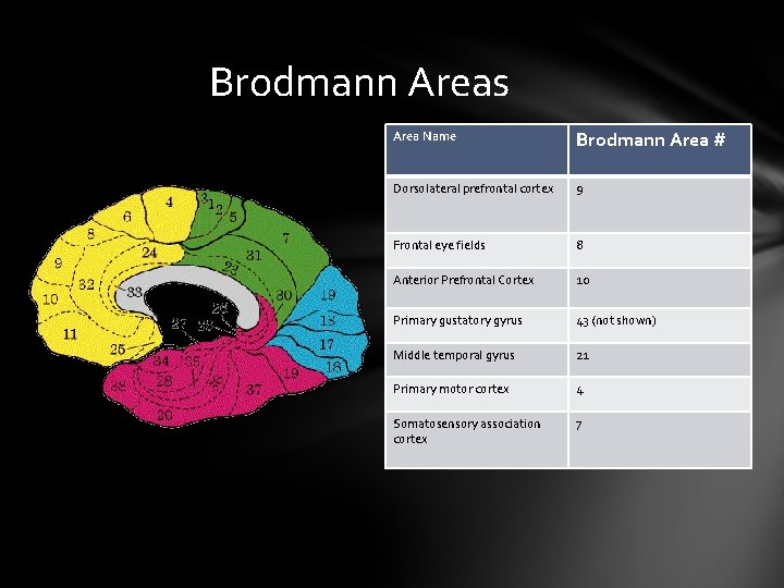 Brodmann Areas Area Name Brodmann Area # Dorsolateral prefrontal cortex 9 Frontal eye fields