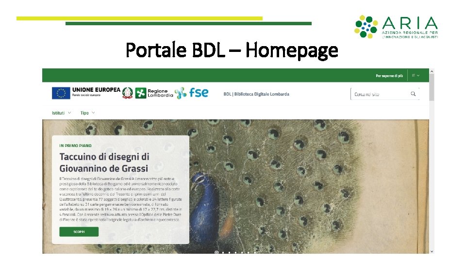 Portale BDL – Homepage 