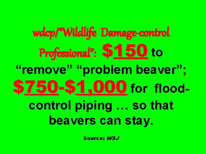 wdcp/“Wildlife Damage-control Professional”: $150 to “remove” “problem beaver”; $750 -$1, 000 for floodcontrol piping