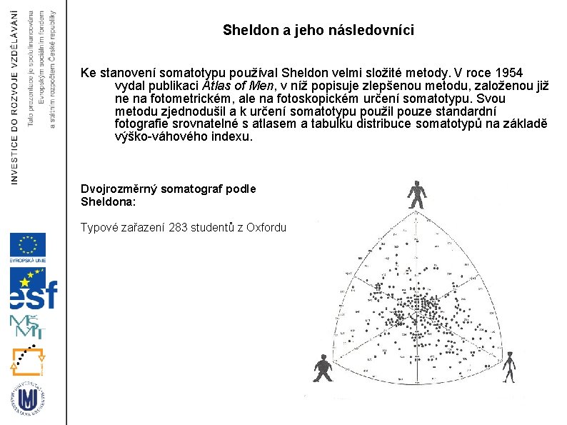 Sheldon a jeho následovníci Ke stanovení somatotypu používal Sheldon velmi složité metody. V roce