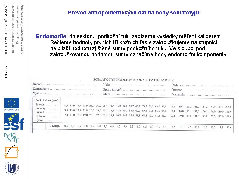 Převod antropometrických dat na body somatotypu Endomorfie: do sektoru „podkožní tuk“ zapíšeme výsledky měření