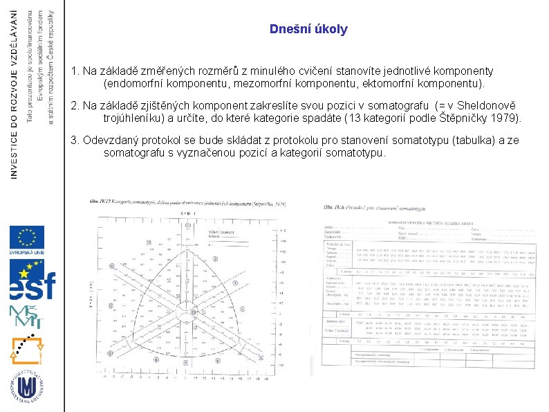 Dnešní úkoly 1. Na základě změřených rozměrů z minulého cvičení stanovíte jednotlivé komponenty (endomorfní