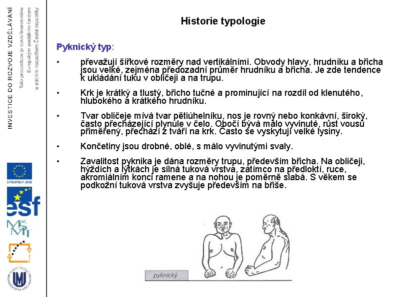 Historie typologie Pyknický typ: • převažují šířkové rozměry nad vertikálními. Obvody hlavy, hrudníku a