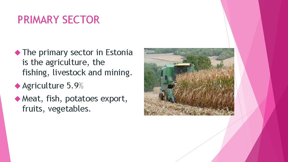 PRIMARY SECTOR The primary sector in Estonia is the agriculture, the fishing, livestock and