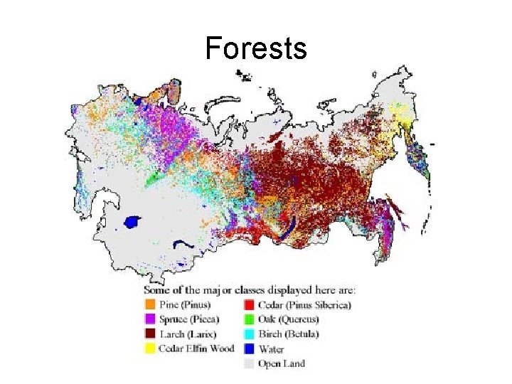Forests 
