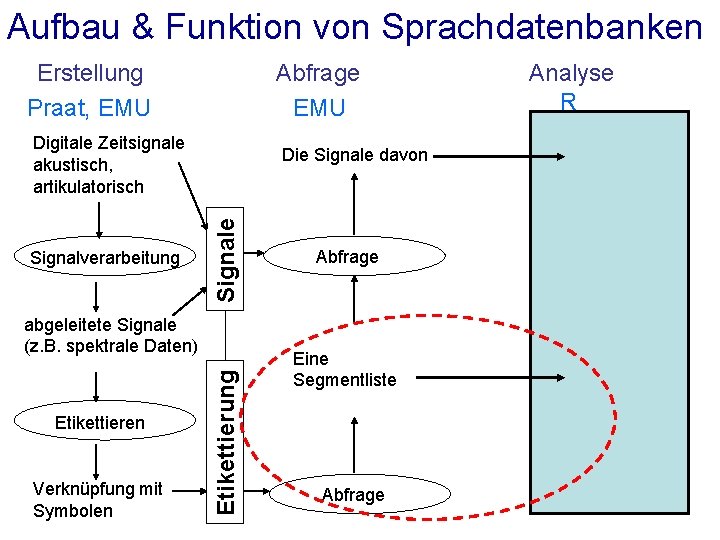 Aufbau & Funktion von Sprachdatenbanken Erstellung Praat, EMU Abfrage EMU Digitale Zeitsignale akustisch, artikulatorisch