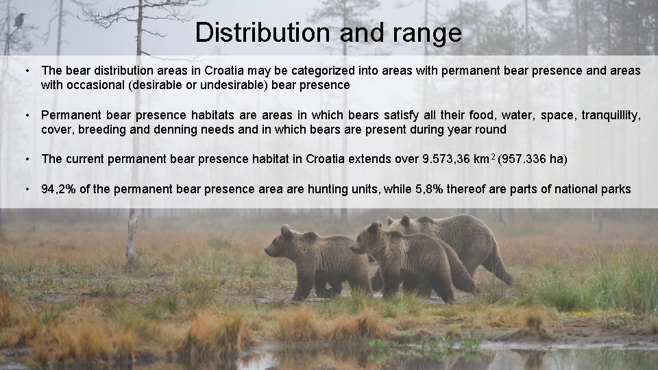 Distribution and range • The bear distribution areas in Croatia may be categorized into