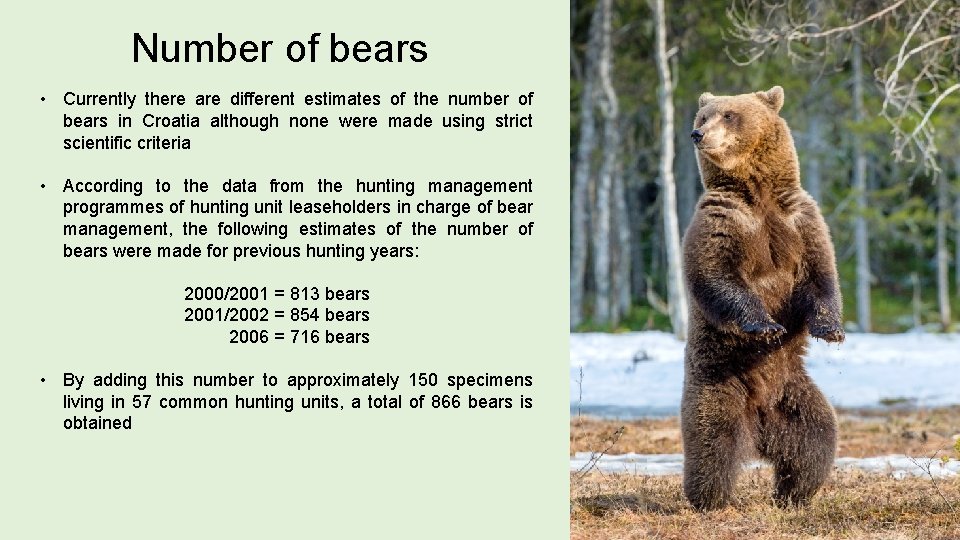 Number of bears • Currently there are different estimates of the number of bears