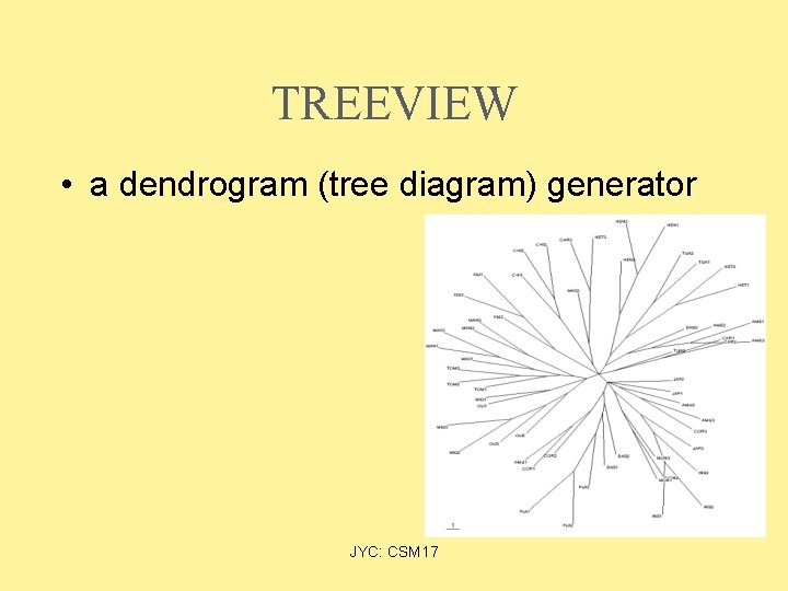 TREEVIEW • a dendrogram (tree diagram) generator JYC: CSM 17 