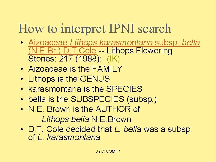 How to interpret IPNI search • Aizoaceae Lithops karasmontana subsp. bella (N. E. Br.