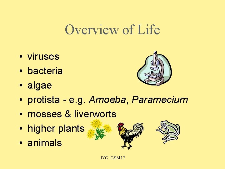 Overview of Life • • viruses bacteria algae protista - e. g. Amoeba, Paramecium