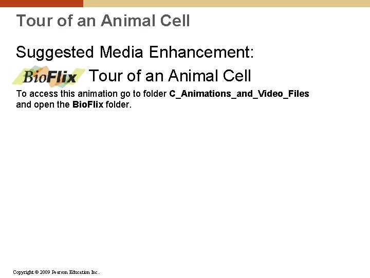Tour of an Animal Cell Suggested Media Enhancement: Tour of an Animal Cell To