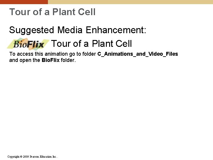 Tour of a Plant Cell Suggested Media Enhancement: Tour of a Plant Cell To