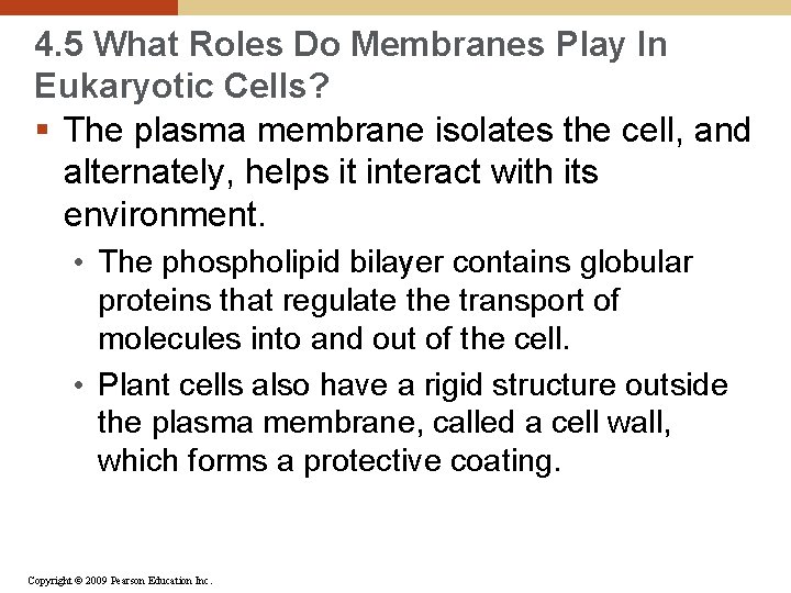 4. 5 What Roles Do Membranes Play In Eukaryotic Cells? § The plasma membrane