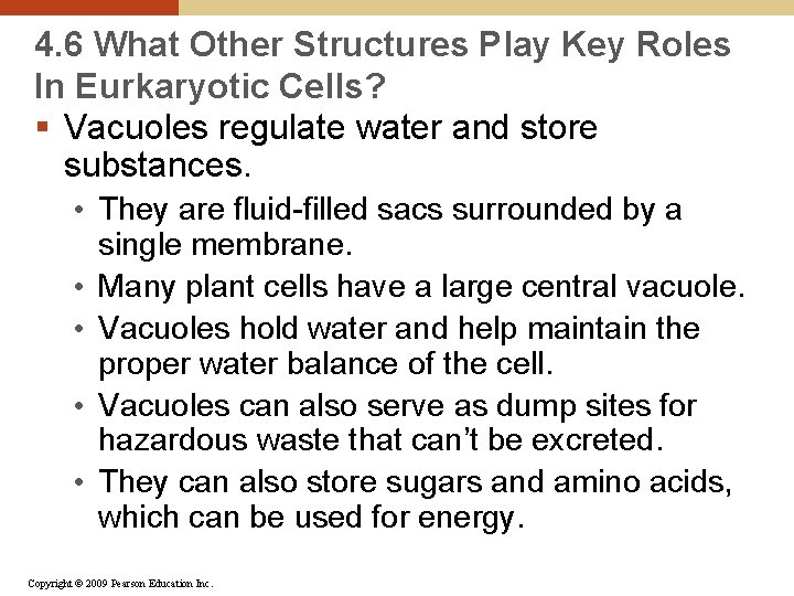 4. 6 What Other Structures Play Key Roles In Eurkaryotic Cells? § Vacuoles regulate